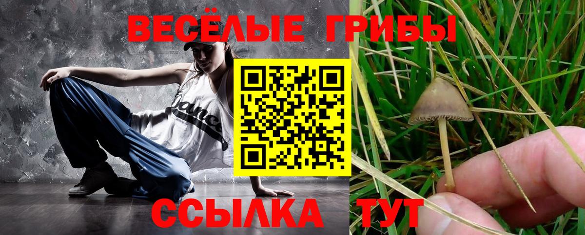 Галлюциногенные грибы Magic Shrooms  Вход с VPN  Острогожск 